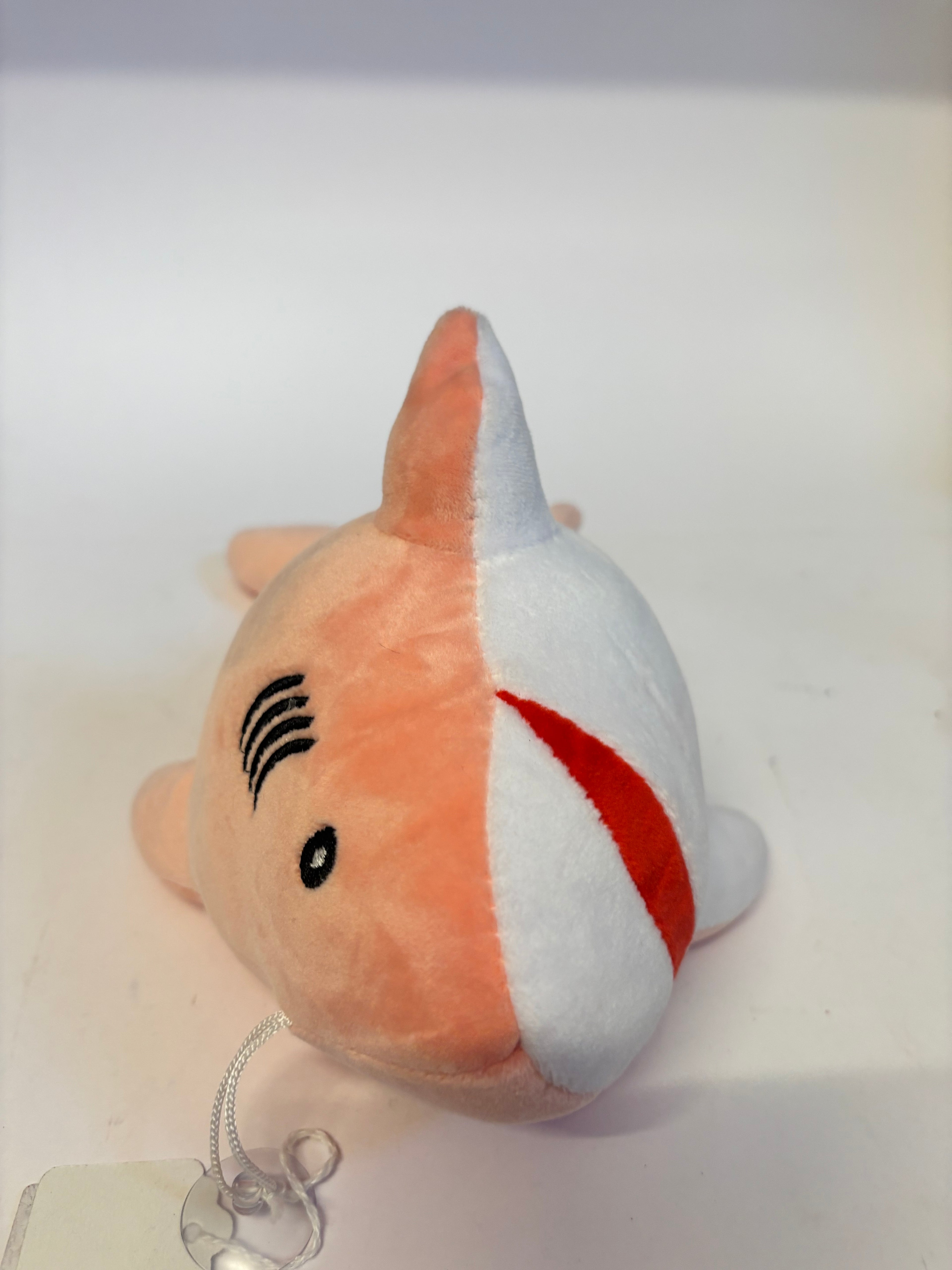 1883 shark 6inch