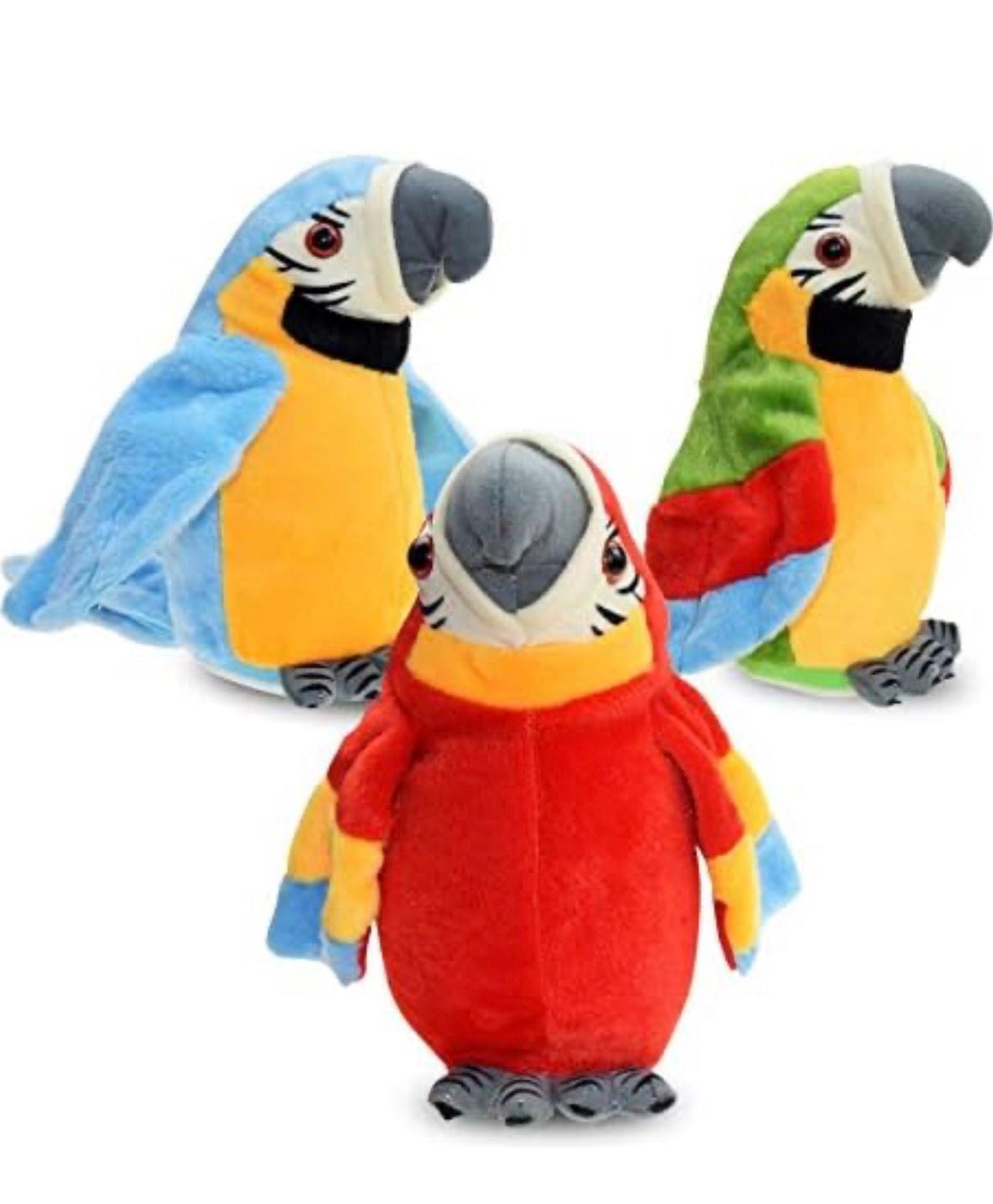 TALKING PARROT